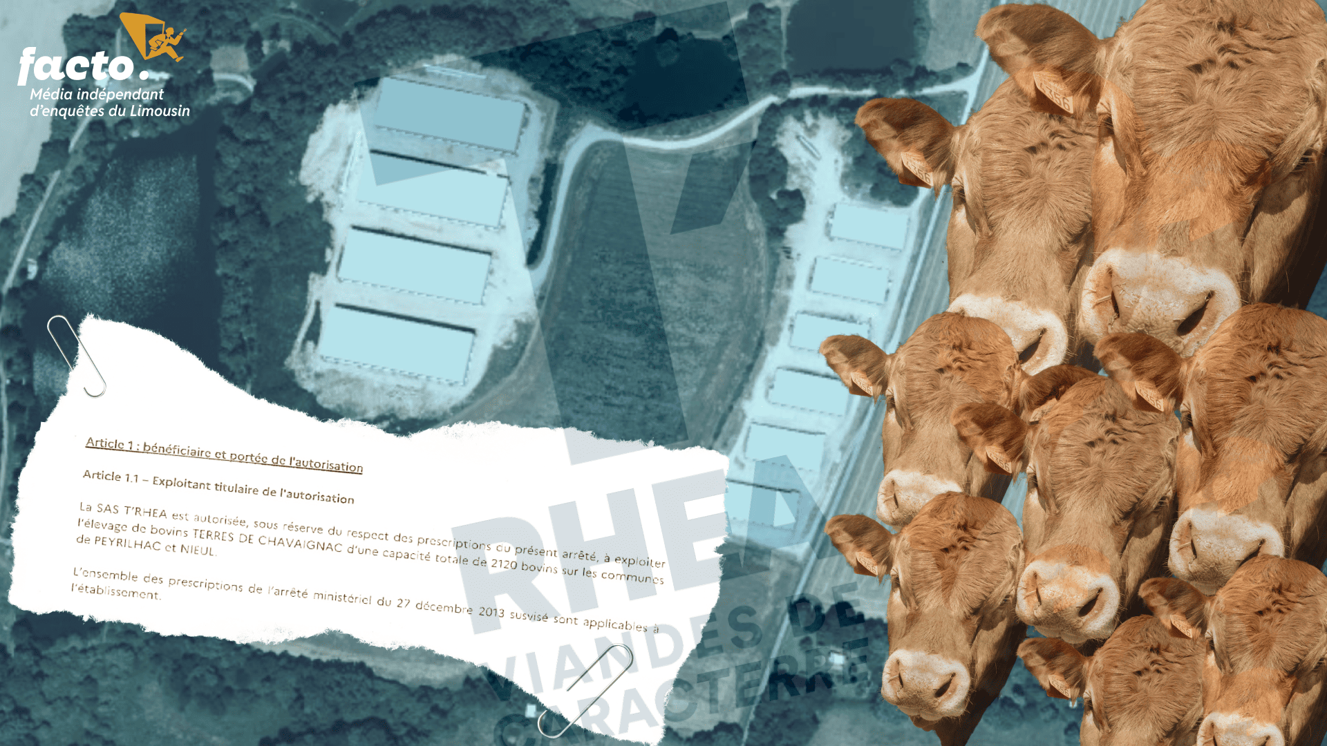 Quelque 2.100 bovins doivent être engraissés pour le compte du groupe agroalimentaire T'Rhéa à Peyrilhac en Haute-Vienne